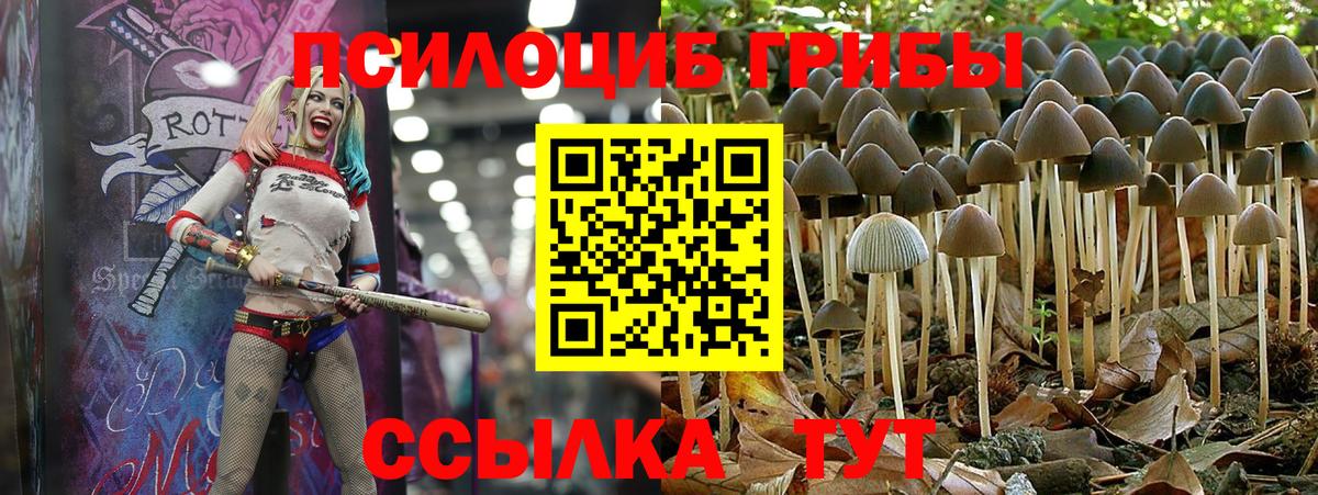 Псилоцибиновые грибы ЛСД  дарнет шоп  Чапаевск  Вход с VPN  Галлюциногенные грибы мицелий 