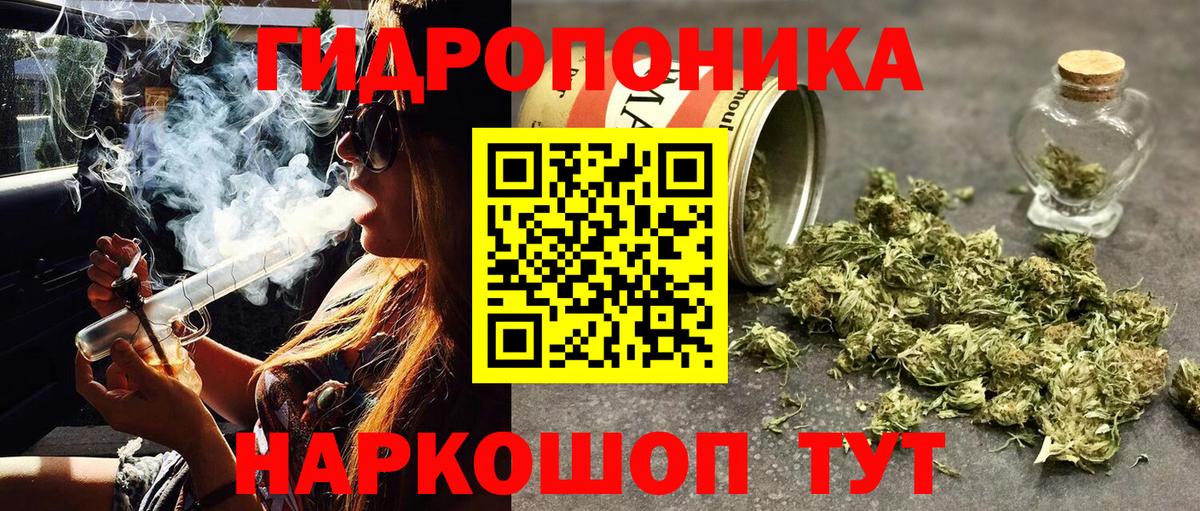 Чапаевск  Каннабис планчик  Марихуана гибрид  Каннабис LSD WEED  Марихуана OG Kush  Вход с VPN 